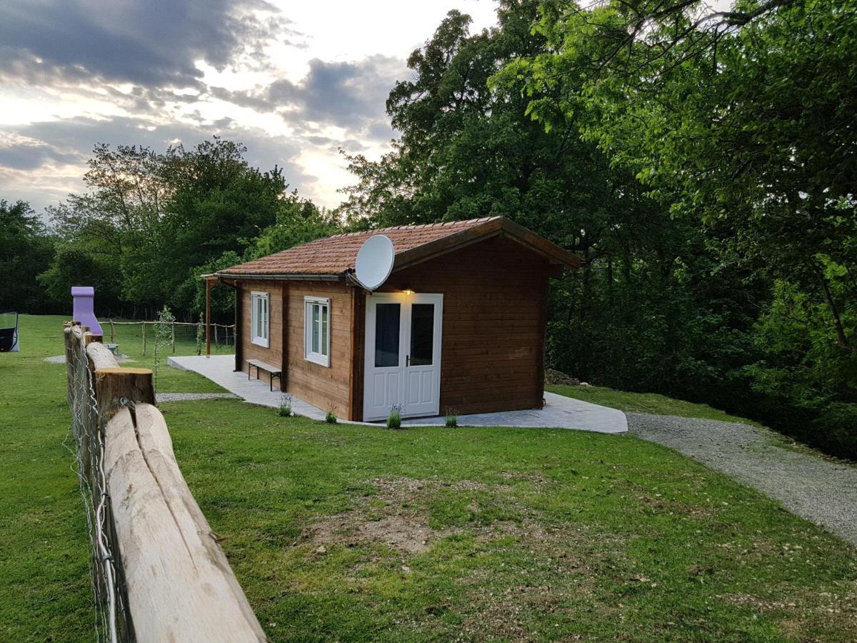 Agriturismo Fattoria Ca Di Sole 산 베네데토 발 디 삼브로 외부 사진