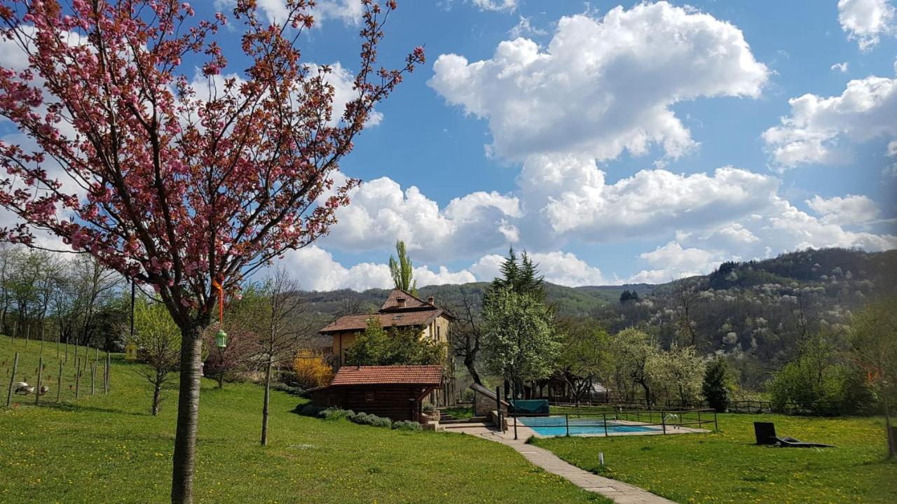 Agriturismo Fattoria Ca Di Sole 산 베네데토 발 디 삼브로 외부 사진