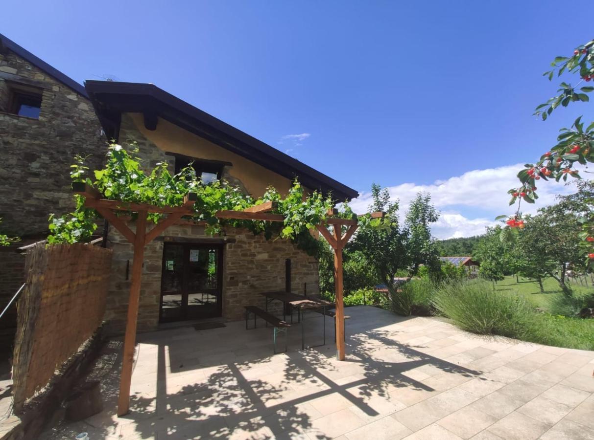 Agriturismo Fattoria Ca Di Sole 산 베네데토 발 디 삼브로 외부 사진