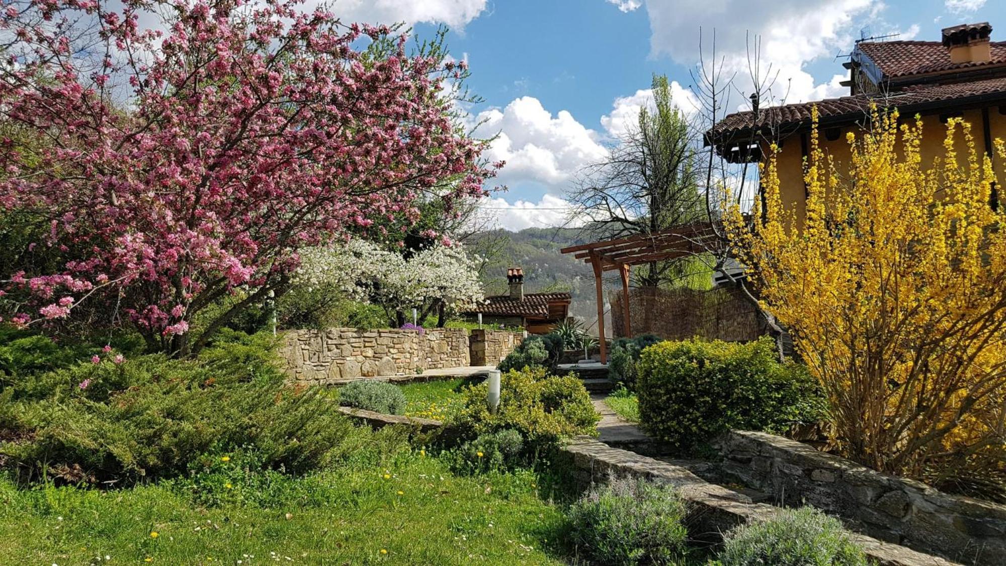 Agriturismo Fattoria Ca Di Sole 산 베네데토 발 디 삼브로 외부 사진